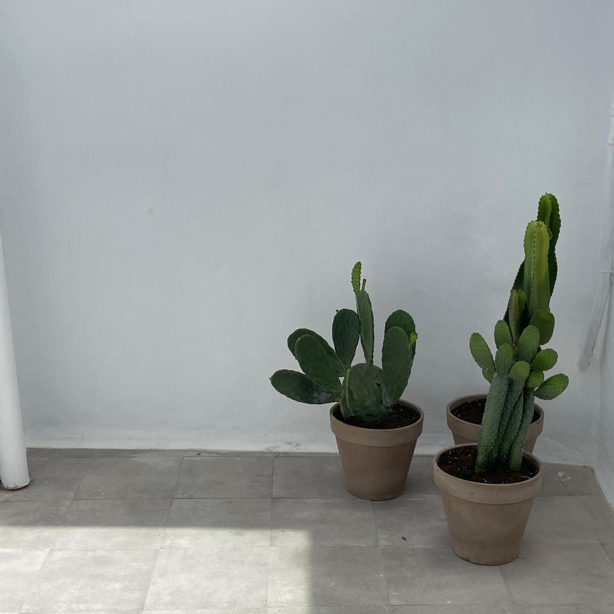 Casa Florinda Tarifa 아파트 외부 사진