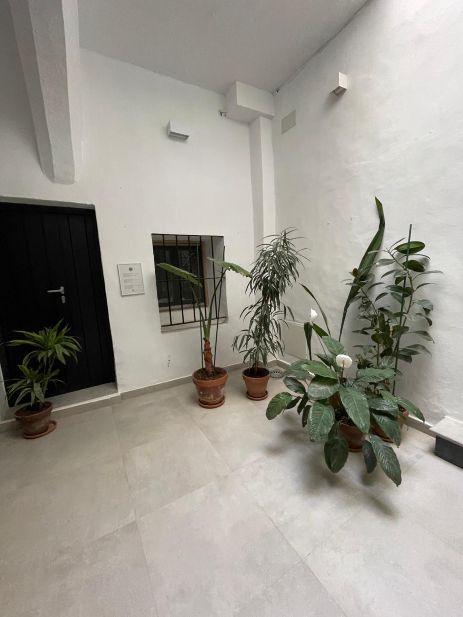 Casa Florinda Tarifa 아파트 외부 사진